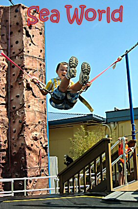 lajolla jumping